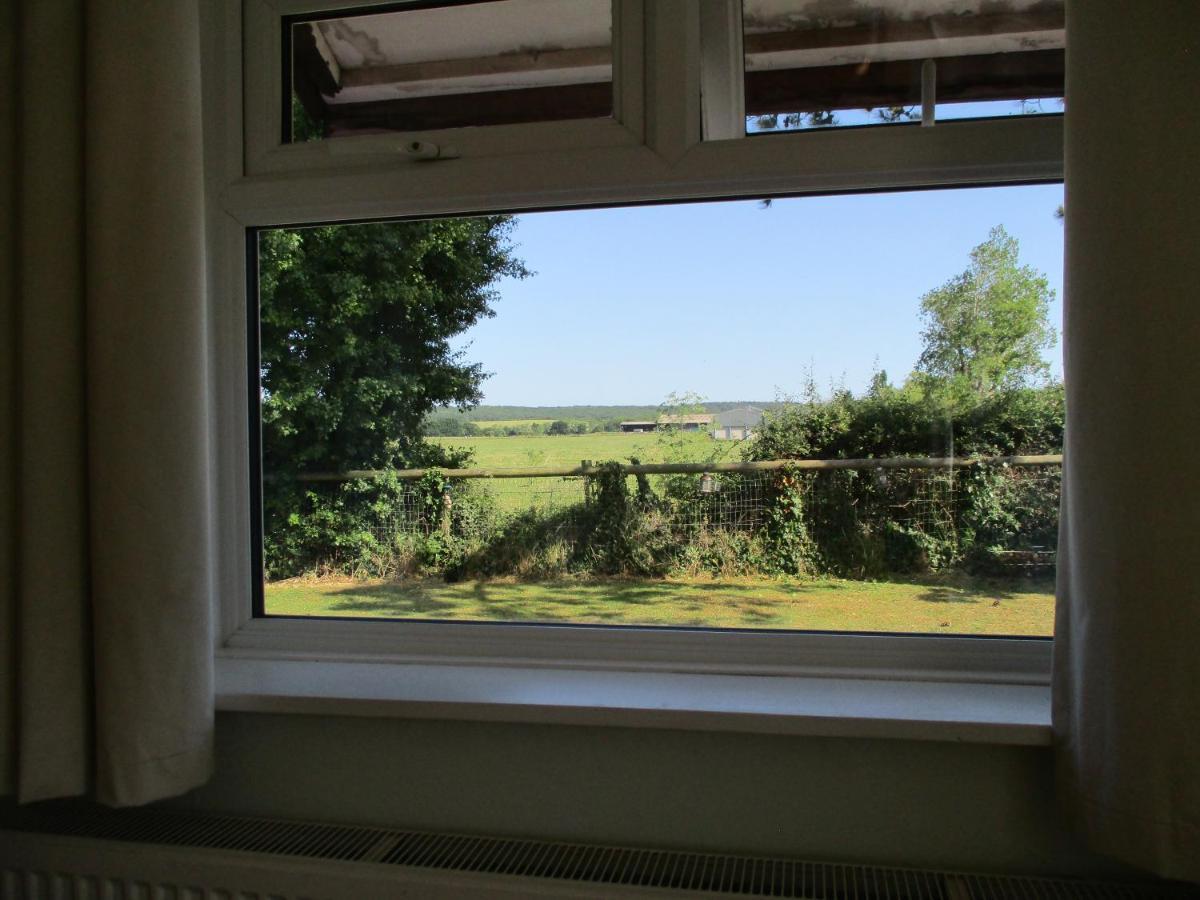 Hillview Bed And Breakfast Chestfield Exterior foto