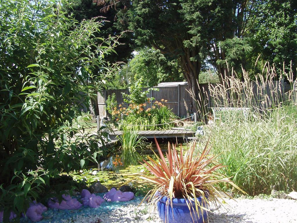 Hillview Bed And Breakfast Chestfield Exterior foto