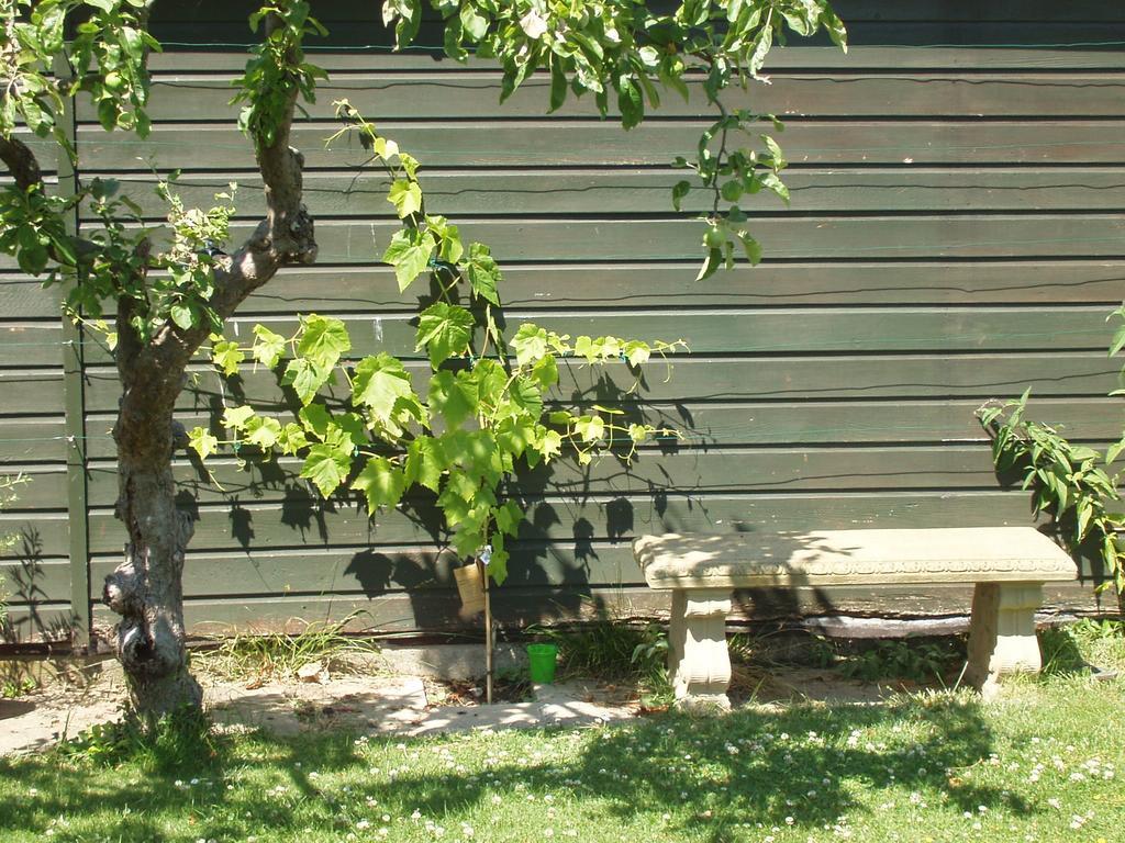 Hillview Bed And Breakfast Chestfield Exterior foto